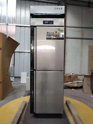 Restaurant Kitchen Stainless Steel 2 Door Freezer Commercial Deep Refrigeration Refrigerator